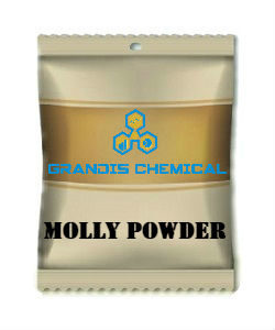 MOLLY POWDER